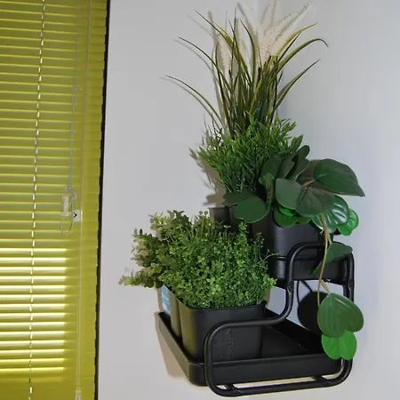 Casa El Majorero 公寓 罗萨里奥港